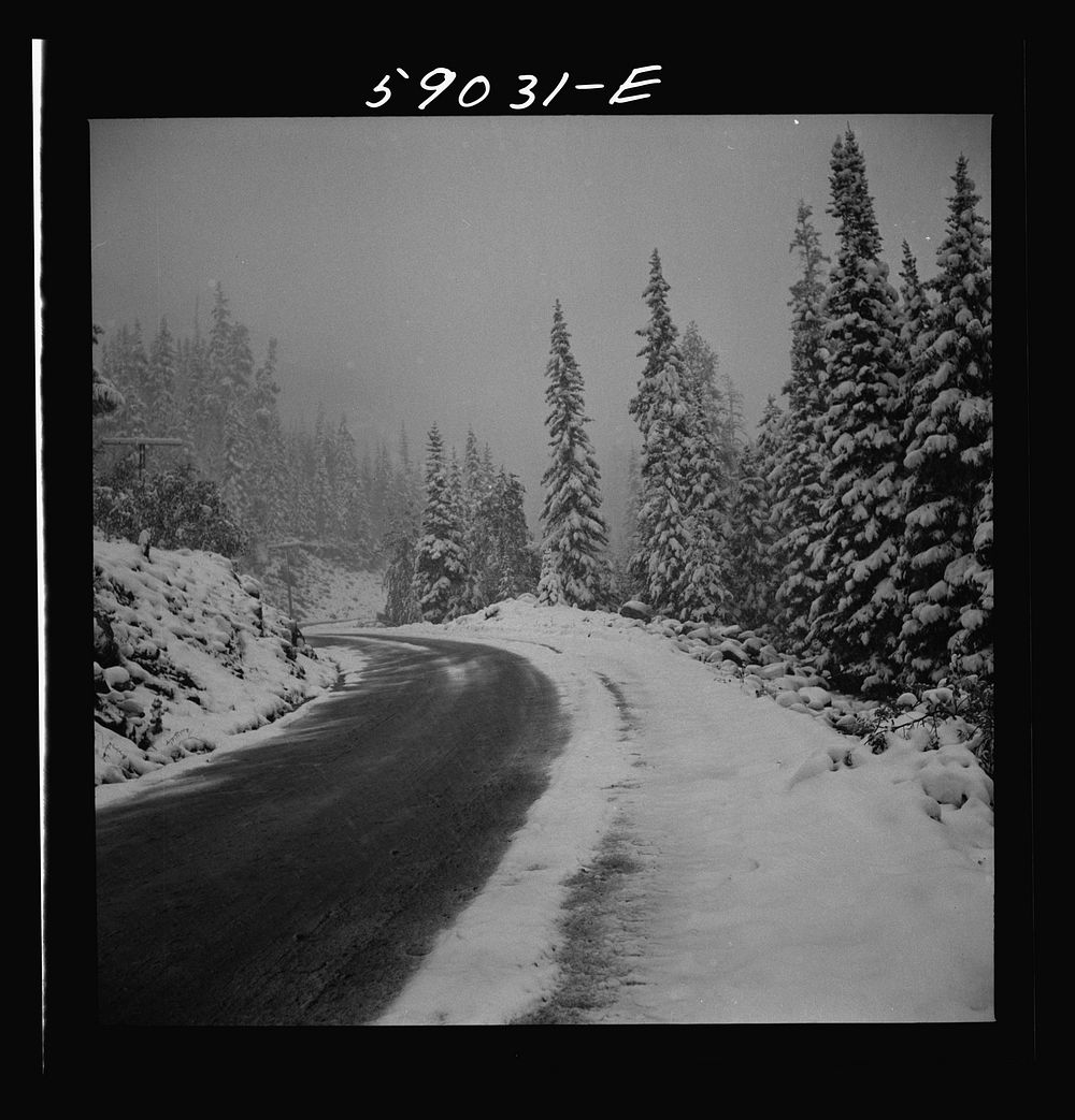 [Untitled photo, possibly related to: Highway across the mountains during early fall blizzard near Independence Pass…