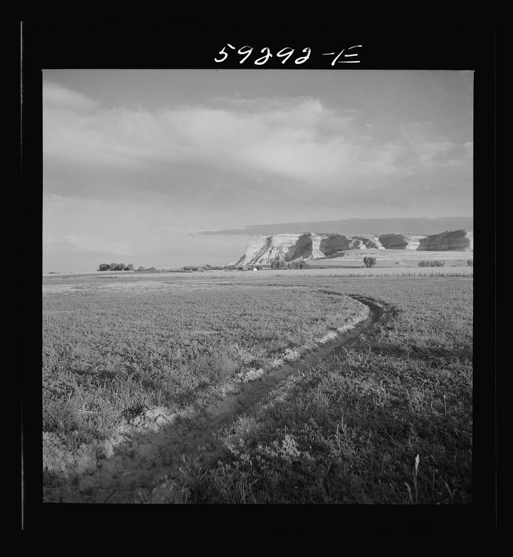 [Untitled photo, possibly related to: Irrigation ditch through alfalfa field. Scottsbluff in the background. North Platte…