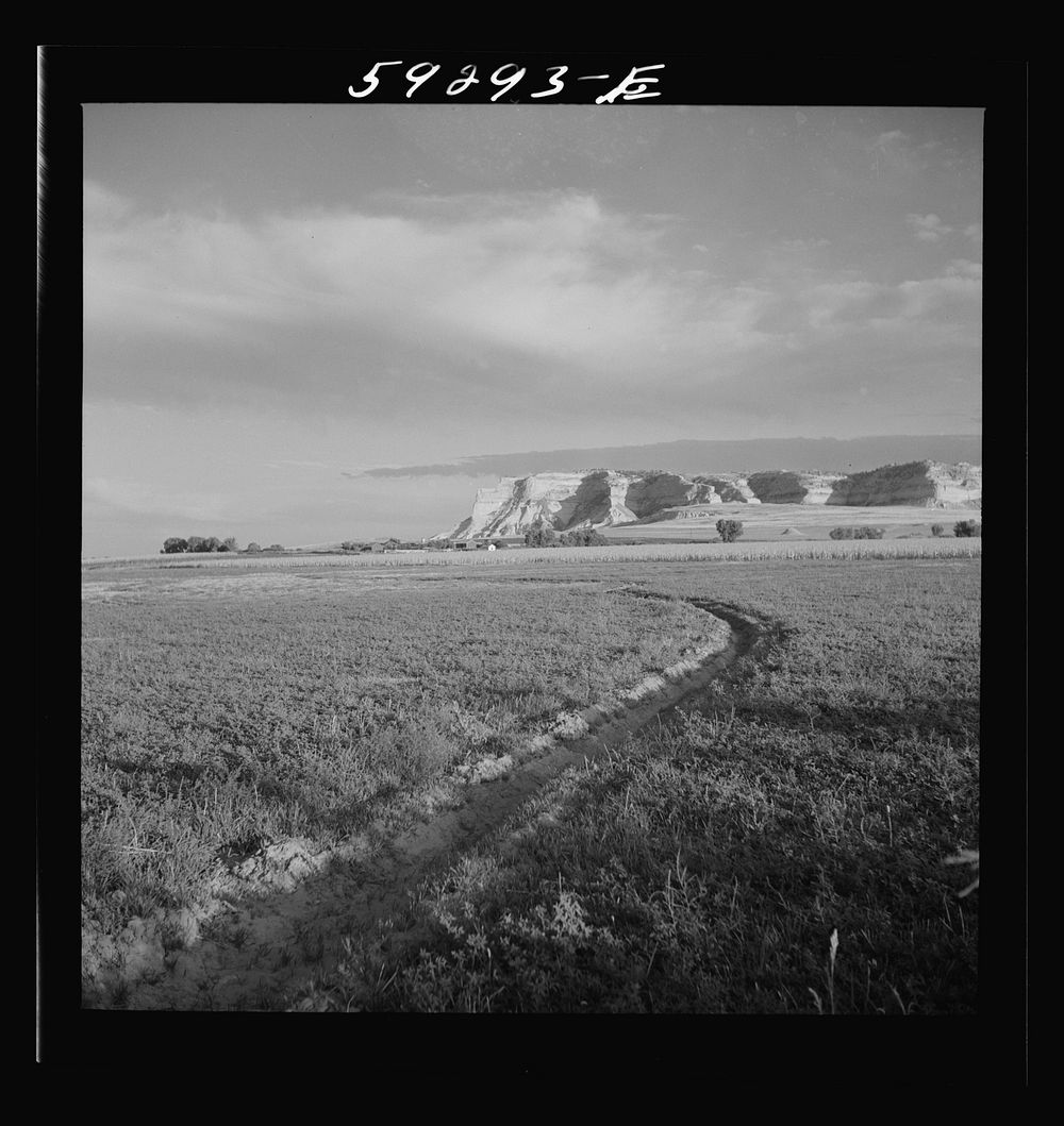 Irrigation ditch through alfalfa field. Scottsbluff in the background. North Platte River Valley, Nebraska. Sourced from the…