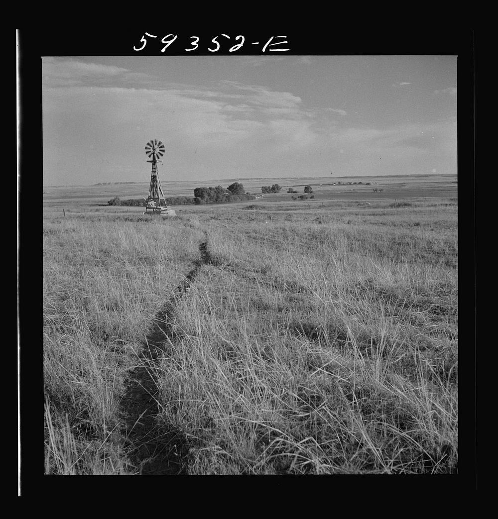 [Untitled photo, possibly related to: Cattle paths to water hole by windmill on grazing land near Scottsbluff, Nebraska.…