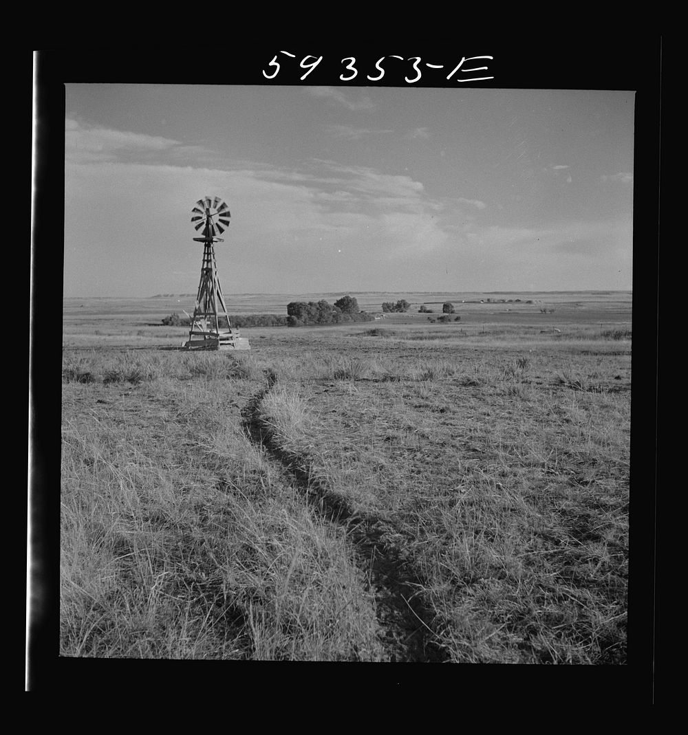 Cattle paths to water hole by windmill on grazing land near Scottsbluff, Nebraska. North Platte River Valley. Sourced from…