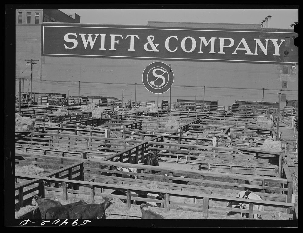 [Untitled photo, possibly related to: Stockyards, with packing house in the background. At Denver, Colorado]. Sourced from…