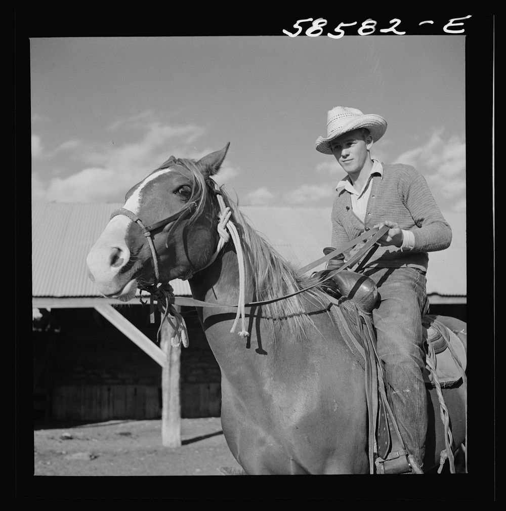 Cowboy on a ranch horse in the corral at Quarter Circle U, Brewster-Arnold Ranch Company. Birney, Montana. Sourced from the…