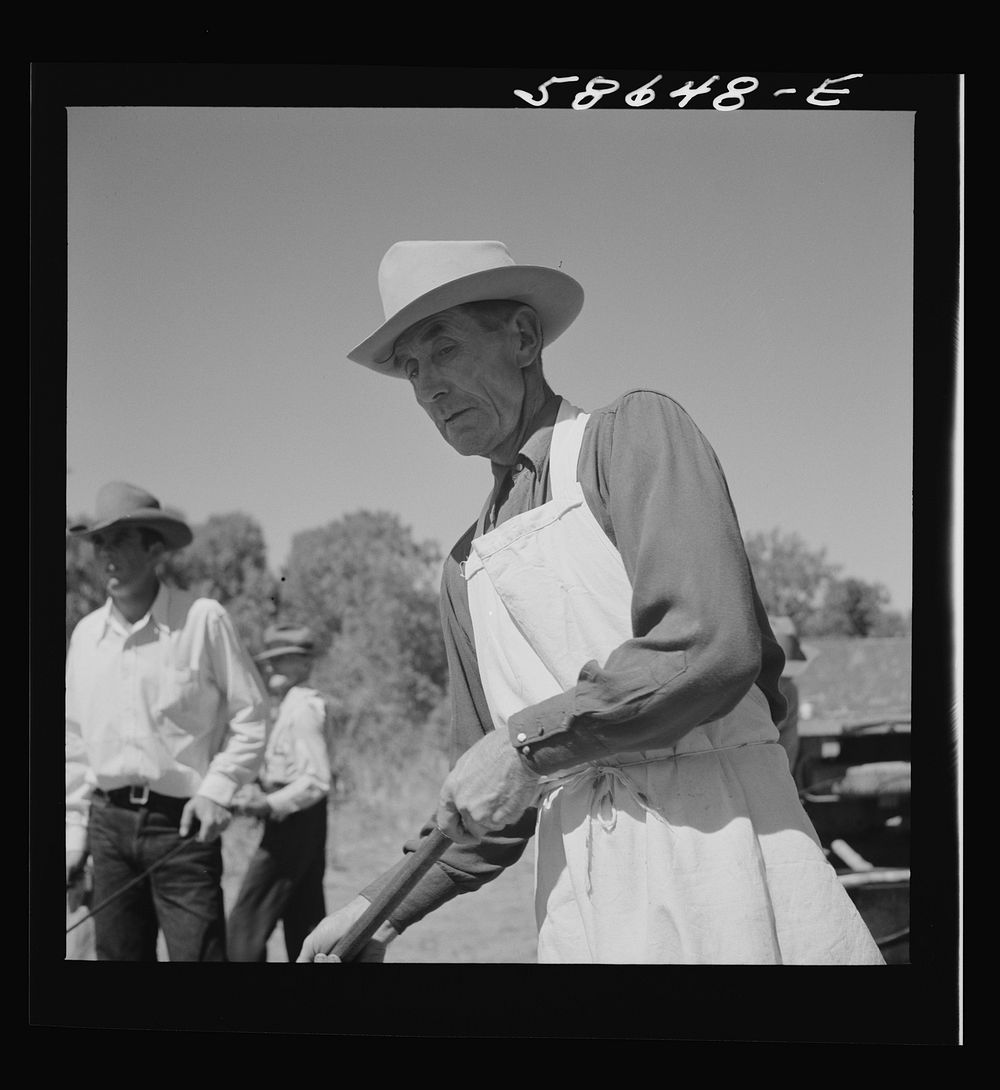 [Untitled photo, possibly related to: The chef barbecuing beef at the stockmen's picnic and barbecue. Spear's Siding, Wyola…