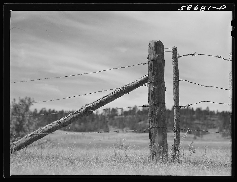 [Untitled photo, possibly related to: Fence around ranch grazing lands. Near Birney, Montana]. Sourced from the Library of…