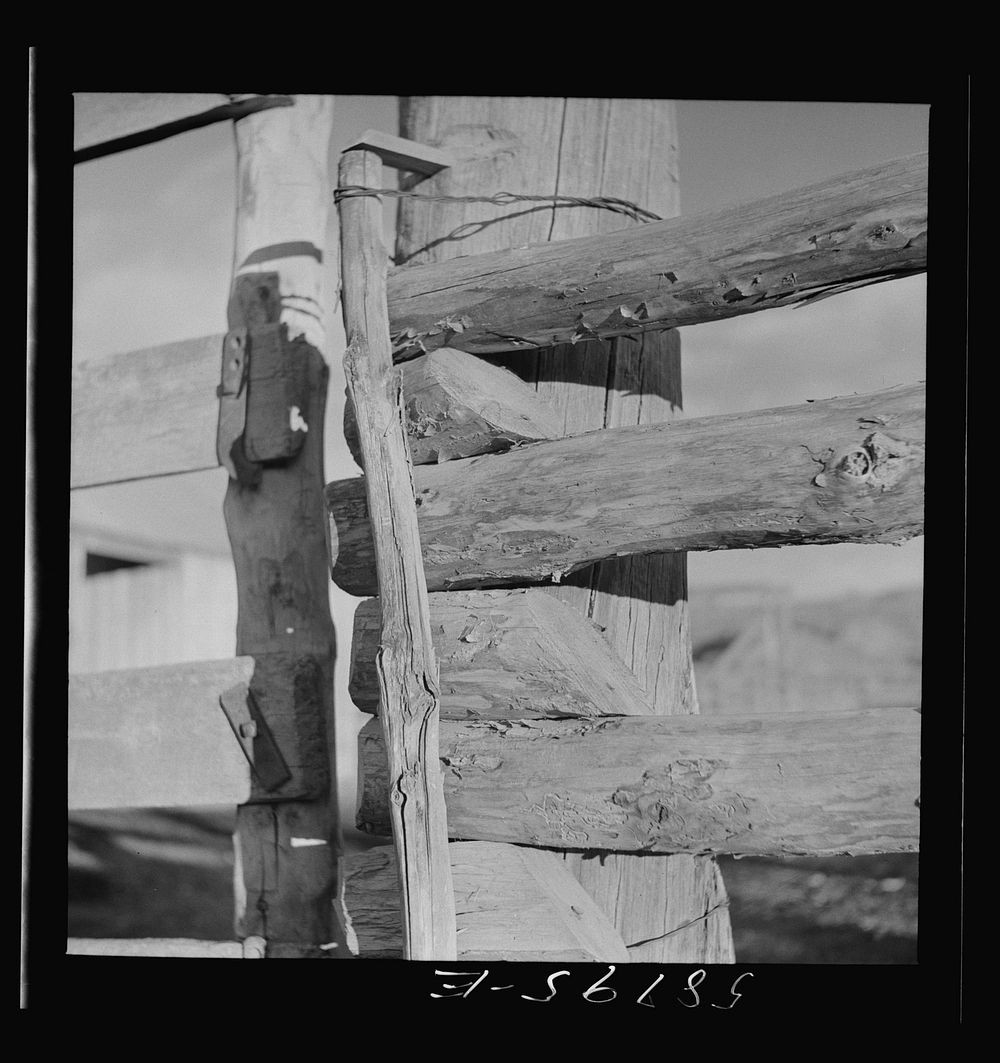 [Untitled photo, possibly related to: Detail of corral gate and fence. Quarter Circle U, Brewster-Arnold Ranch Company.…