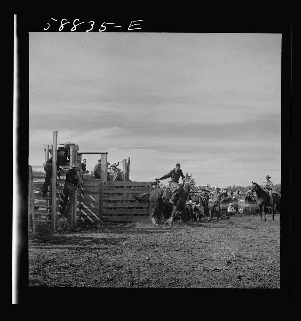 [Untitled photo, possibly related to: Indians watching the Crow fair at Crow Agency. Montana]. Sourced from the Library of…