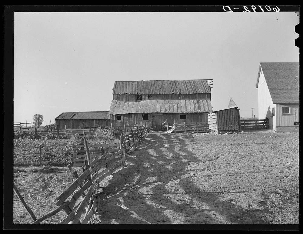 Old barn of FSA (Farm Security Administration) client, new barn on right. Grant County, Wisconsin. Sourced from the Library…