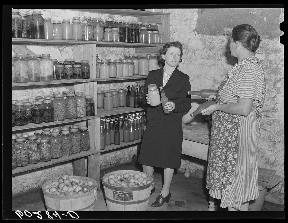 Home supervisor discussing canned goods with rehabilitation borrower. Chippewa County, Wisconsin. Sourced from the Library…