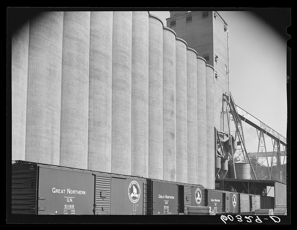 Freight cars unloading wheat at grain elevator. Minneapolis, Minnesota. Sourced from the Library of Congress.
