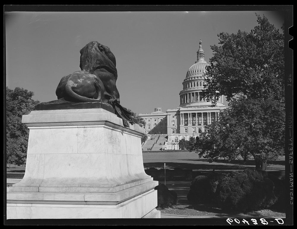 [Untitled photo, possibly related to: Lion at General Grant's monument. Washington, D.C.]. Sourced from the Library of…