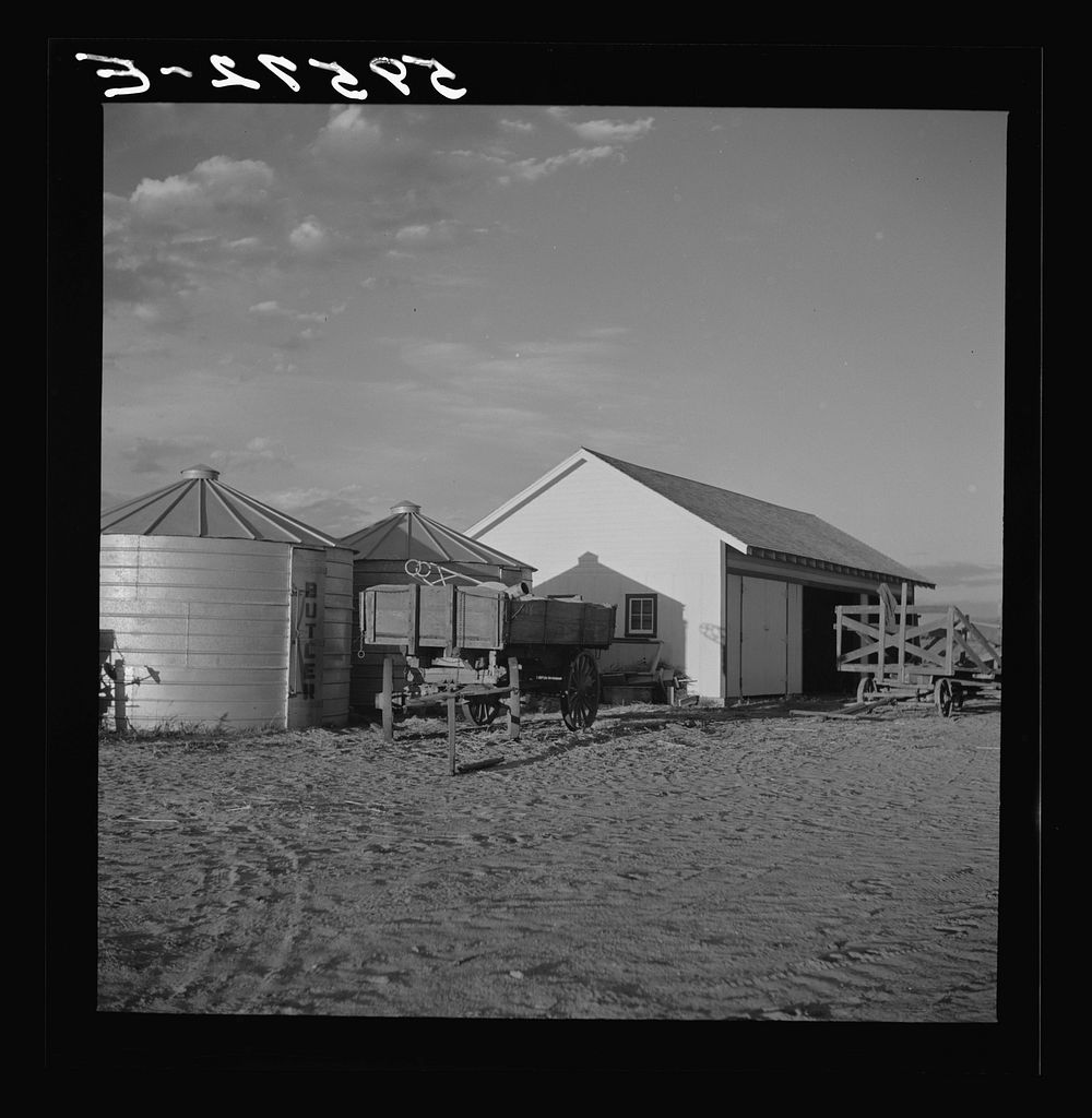 Shed and grain storage bins. Cooperative association of Scottsbluff Farmsteads, FSA (Farm Security Administration) project.…