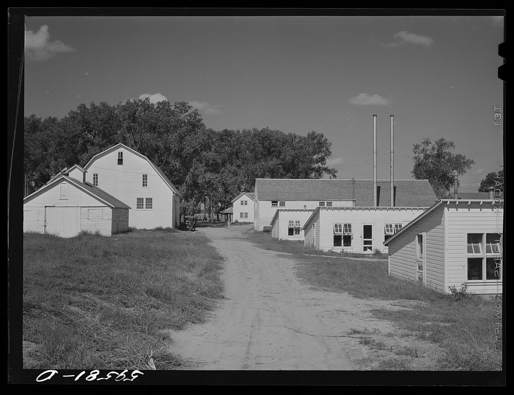 Poultry houses and barn on Two Rivers Non-Stock Cooperative, a FSA (Farm Security Administration) co-op. Waterloo, Nebraska.…