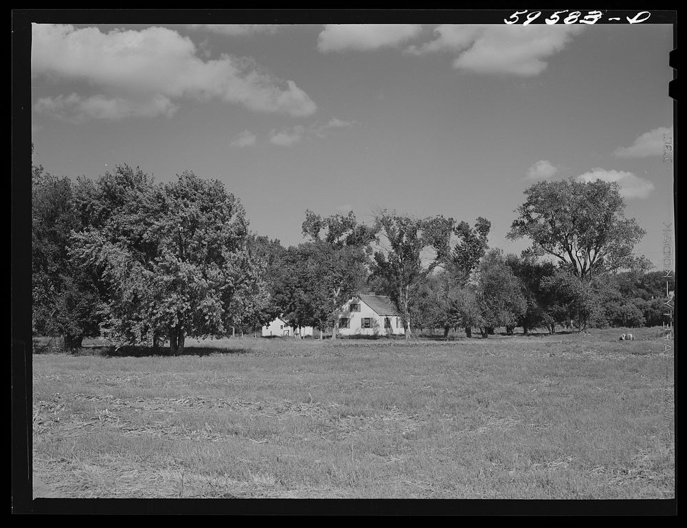 House at Two Rivers Non-Stock Cooperative, a FSA (Farm Security Administration) co-op. Waterloo, Nebraska. Sourced from the…