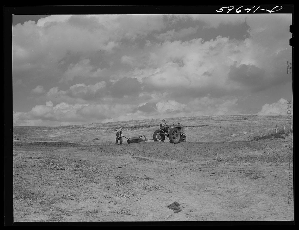 Hired help building a dam for a reservoir to water cattle and livestock on Tom Reed farm. Lexington, Nebraska. Sourced from…