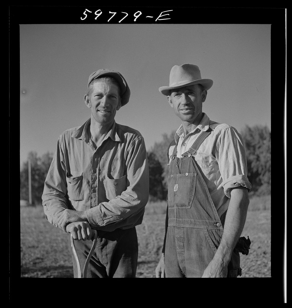 Bean threshers. North Platte River Valley, Nebraska. Sourced from the Library of Congress.
