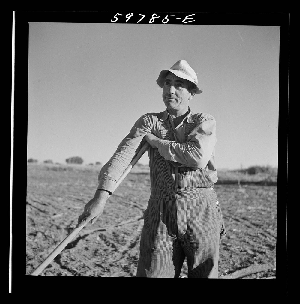 Bean thresher. North Platte River Valley, Nebraska. Sourced from the Library of Congress.