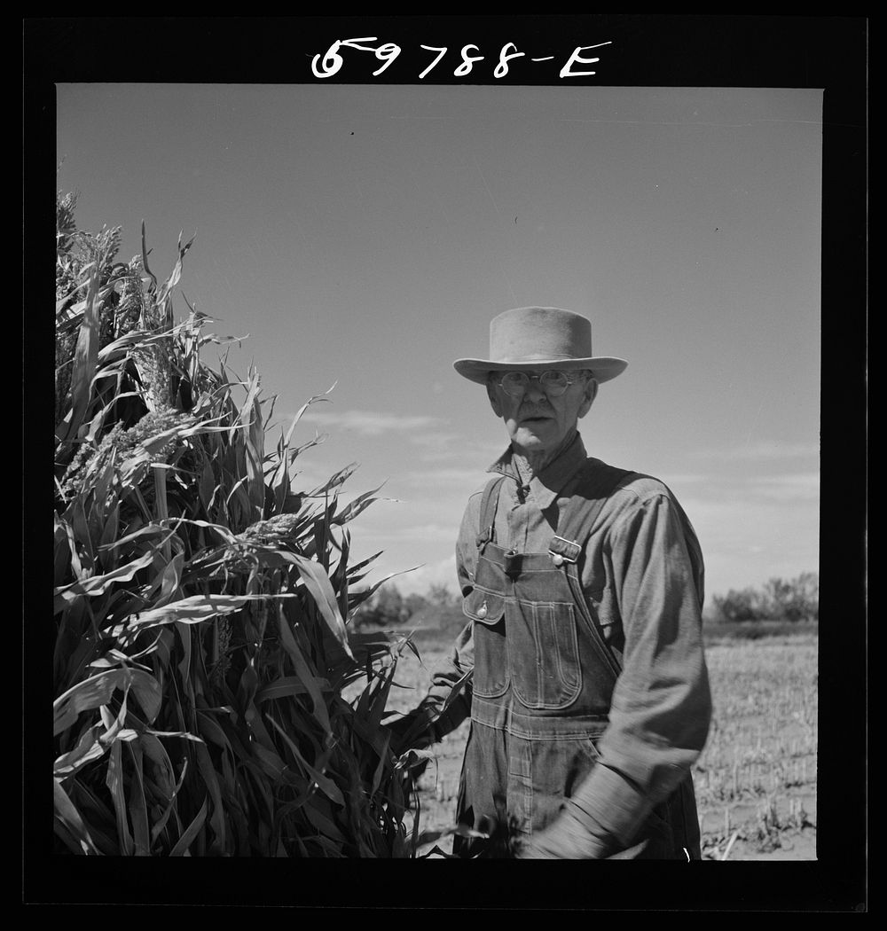 [Untitled photo, possibly related to: A.E. Scott on his farm northeast of Scottsbluff, Nebraska. See general caption number…