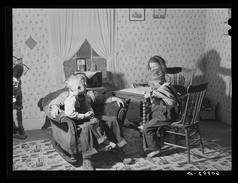 [Untitled photo, possibly related to: FSA (Farm Security Administration) tenant purchase borrower and family. Crawford…