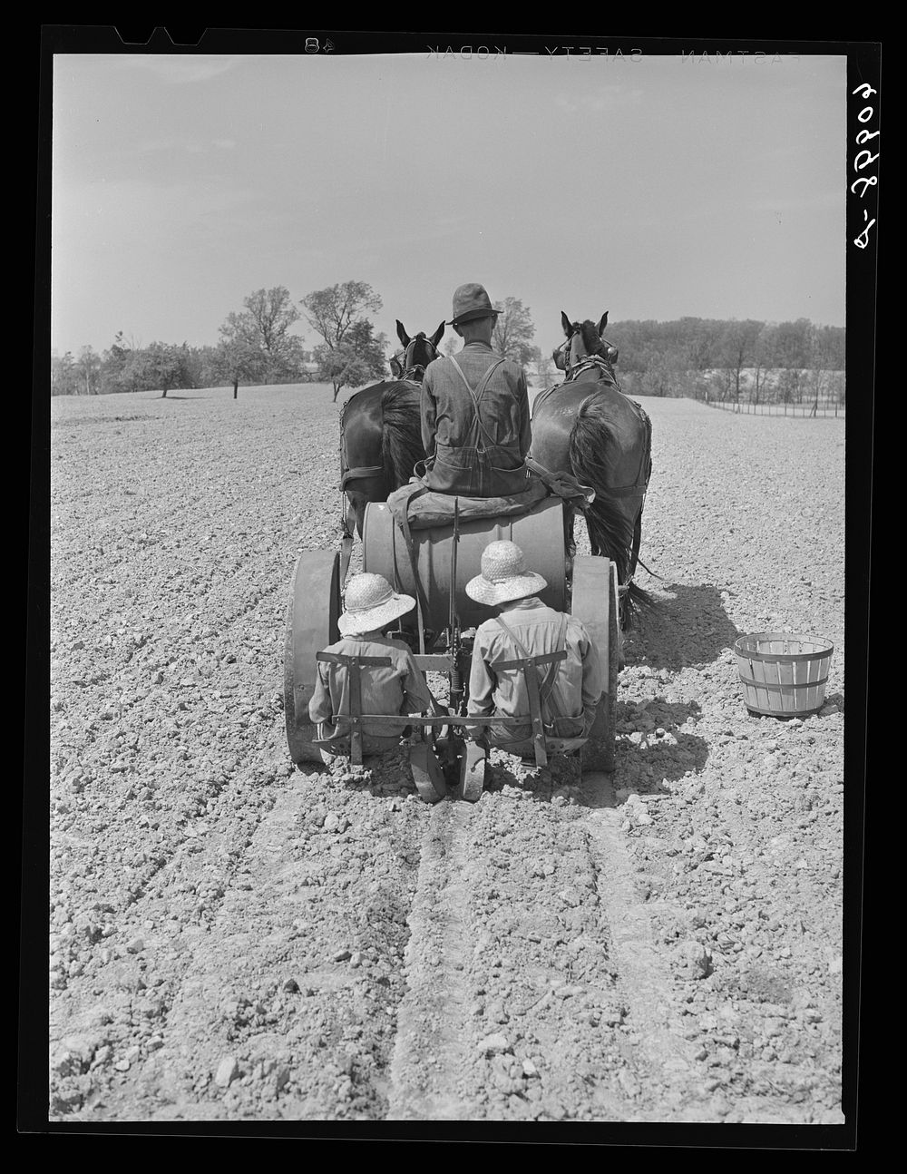FSA (Farm Security Administration) rehabilitation borrower driving tomato planter. The two little girls sitting in back drop…