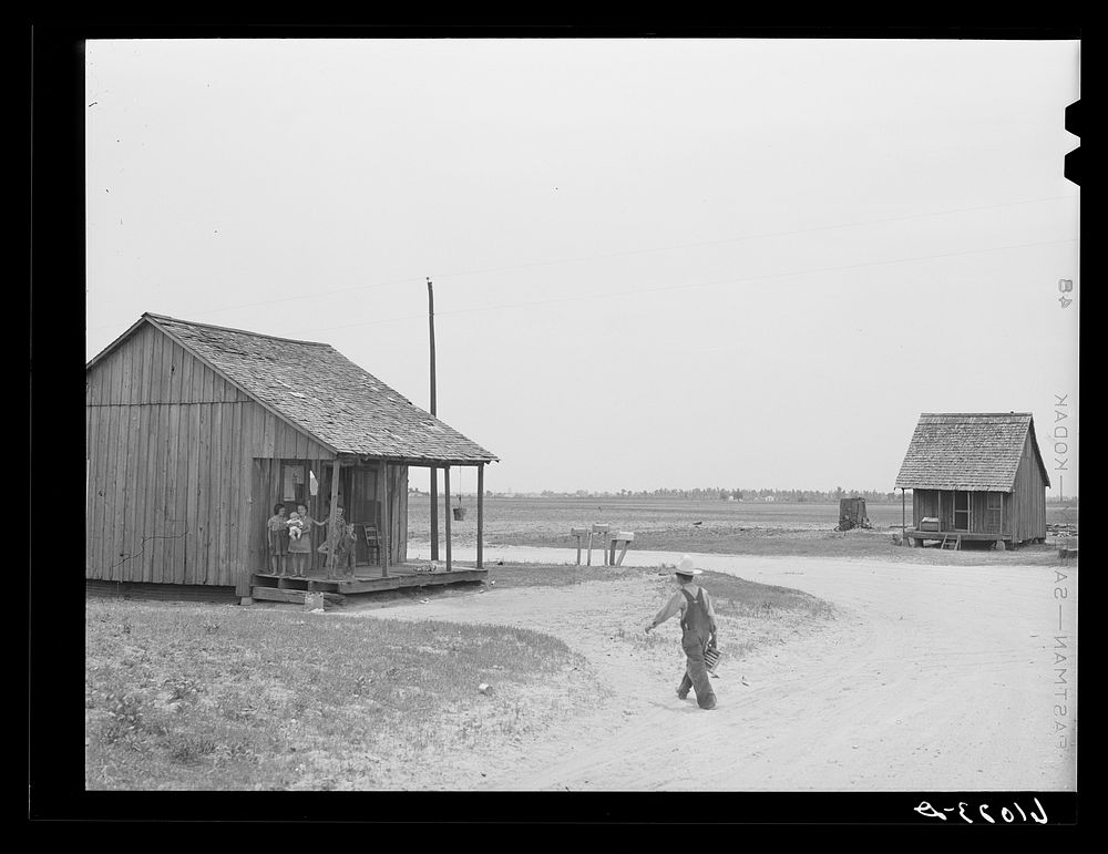 Sharecropper shacks. New Madrid County, Missouri. Sourced from the Library of Congress.