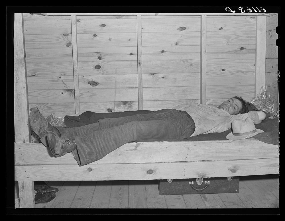 Migrant fruit worker living in cabin owned by packing house for which he works. Rent one dollar and seventy-five cents a…