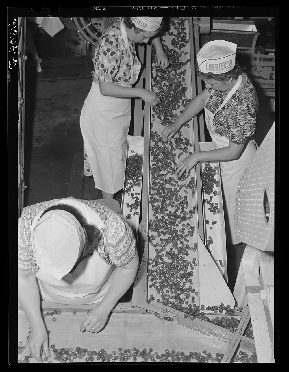 Removing defective cherries and stems. Canning plant, Door County, Wisconsin. Sourced from the Library of Congress.