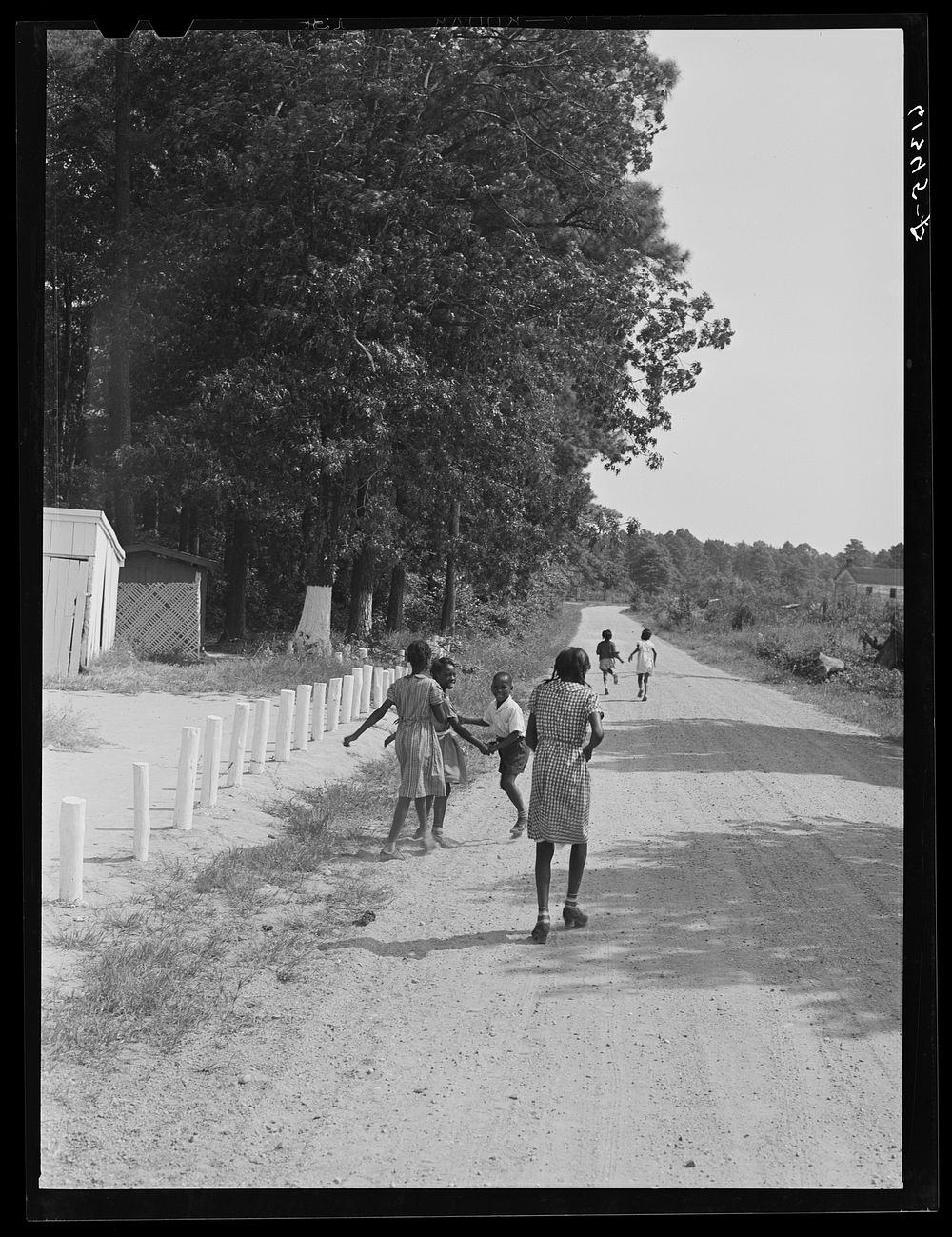Children going home from school at noon. Saint Mary's County, near Scotland, Maryland. Sourced from the Library of Congress.