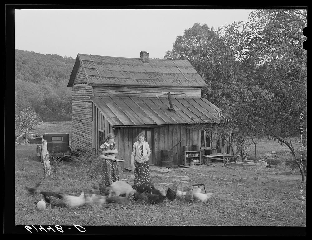 Lansing and daughter feeding chickens. They are FSA (Farm Security Administration) borrowers. Ross County, Ohio. Sourced…