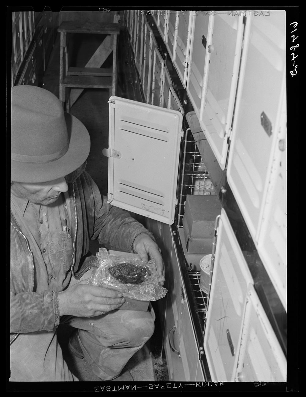 [Untitled photo, possibly related to: Getting meats out of cold storage locker. Hillsboro, North Dakota]. Sourced from the…