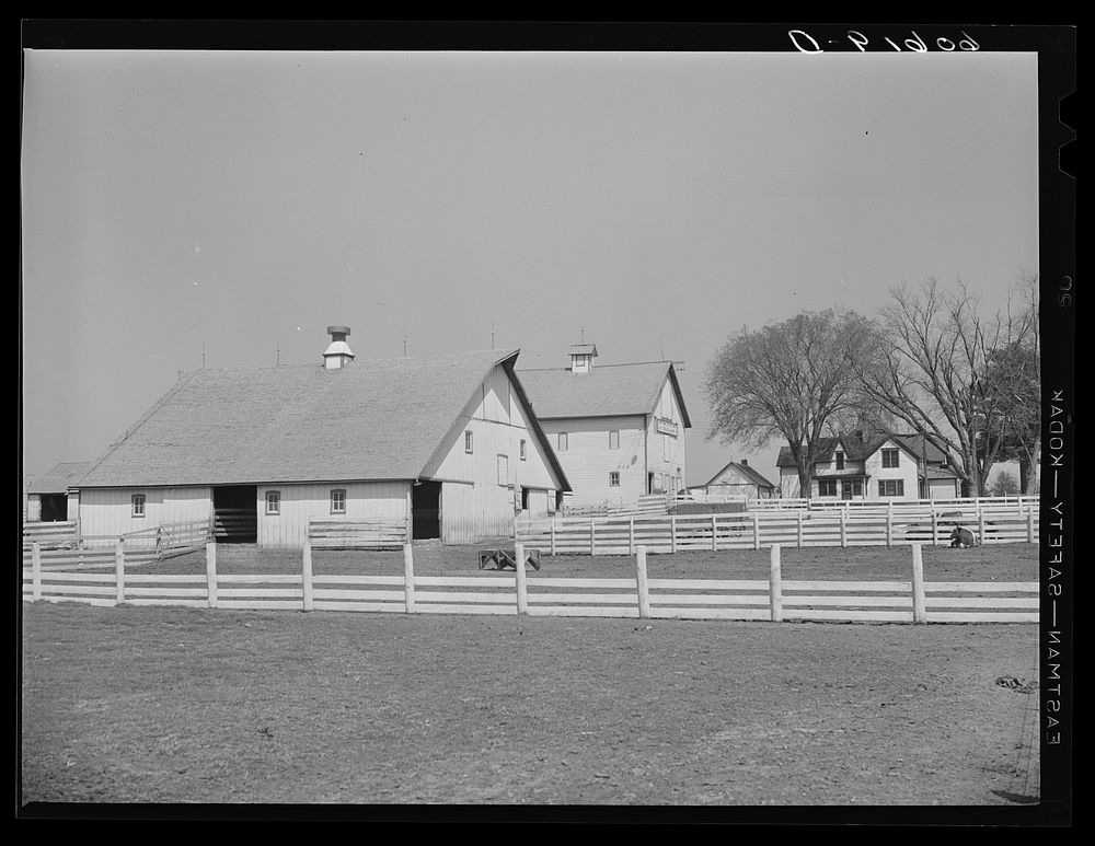 Barns on corn and hog farm. Grundy County, Iowa. Sourced from the Library of Congress.