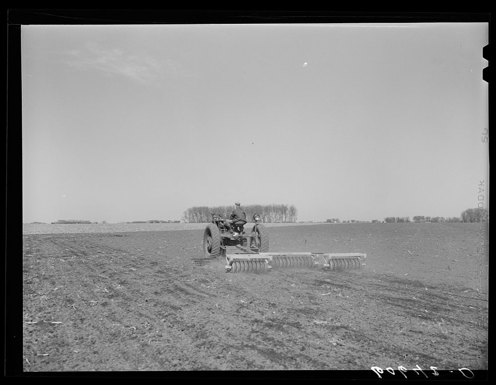 [Untitled photo, possibly related to: Breaking up corn stalks before plowing. Grundy County, Iowa]. Sourced from the Library…