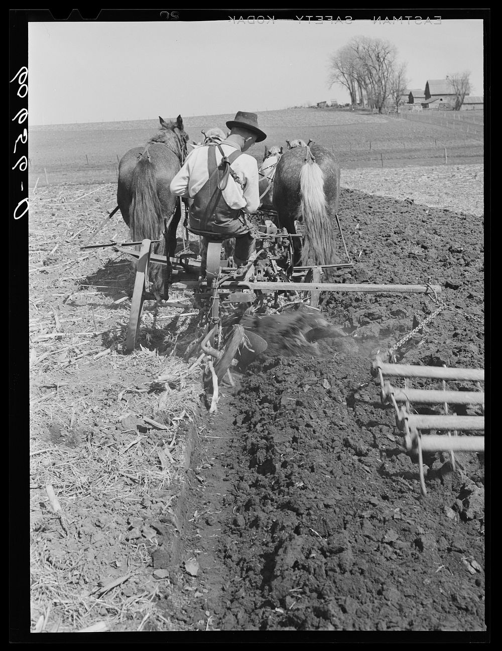 Plowing and harrowing with team of horses. Grundy County, Iowa. Use of horses for this operation is rare in Grundy County.…