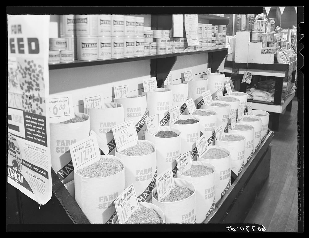 Seed store display. Marshalltown, Iowa. Sourced from the Library of Congress.