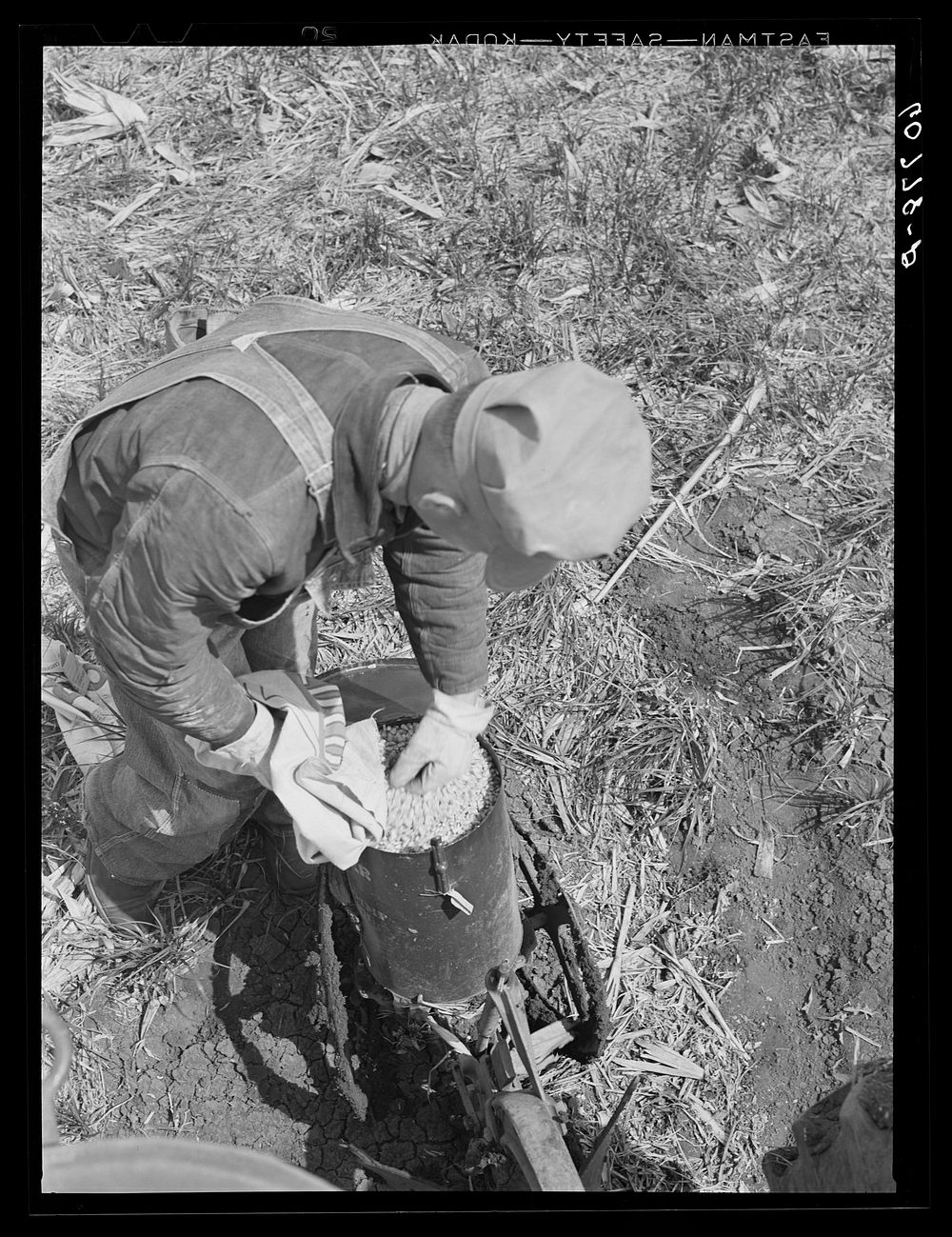 [Untitled photo, possibly related to: Examining hybrid seed corn in box of planter. Monona County, Iowa]. Sourced from the…