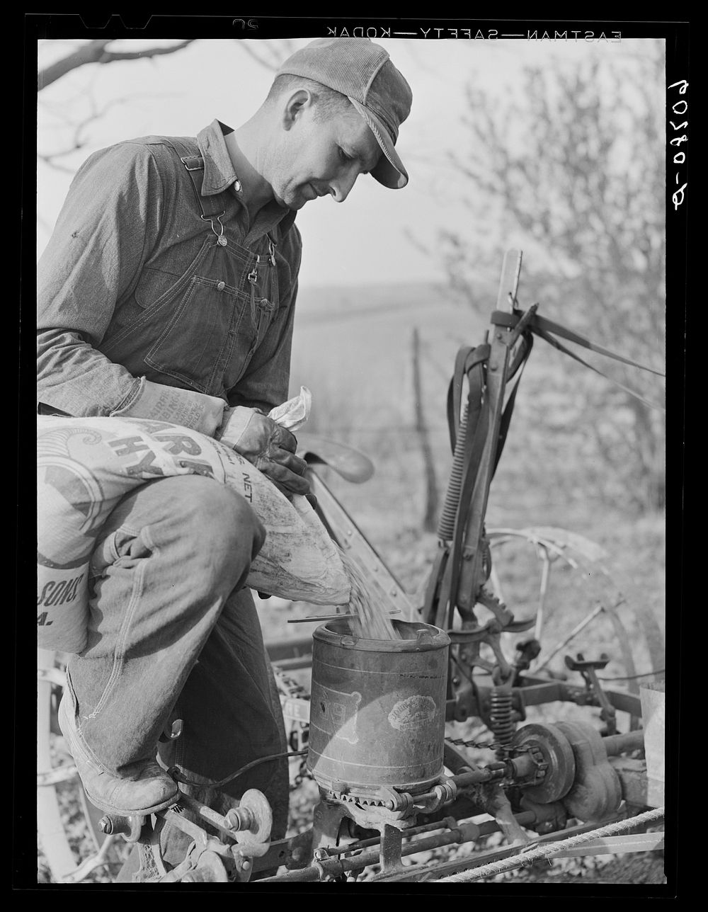 Pouring hybrid seed corn into box on planter. Monona County, Iowa. Sourced from the Library of Congress.
