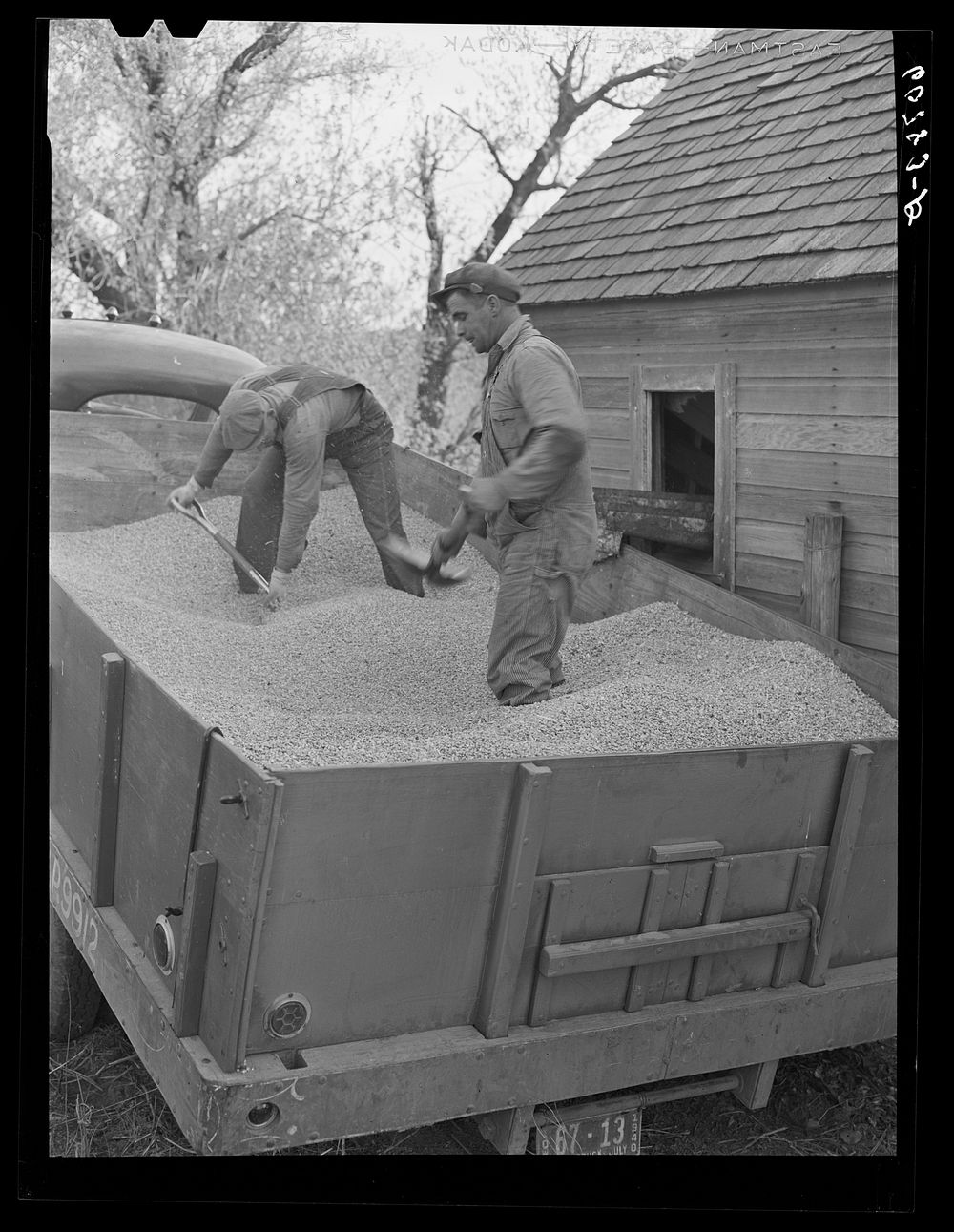 Loading shelled corn into storage bin. Monona County, Iowa. Sourced from the Library of Congress.