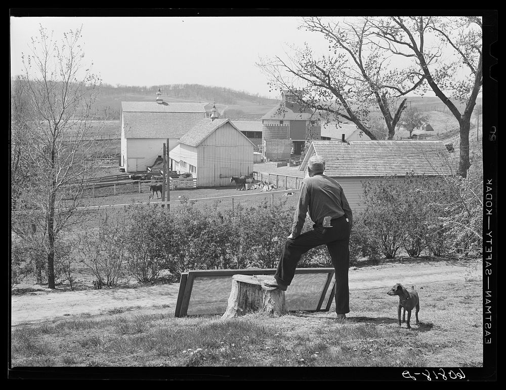 Large corn and stock farm. Monona County, Iowa. Sourced from the Library of Congress.