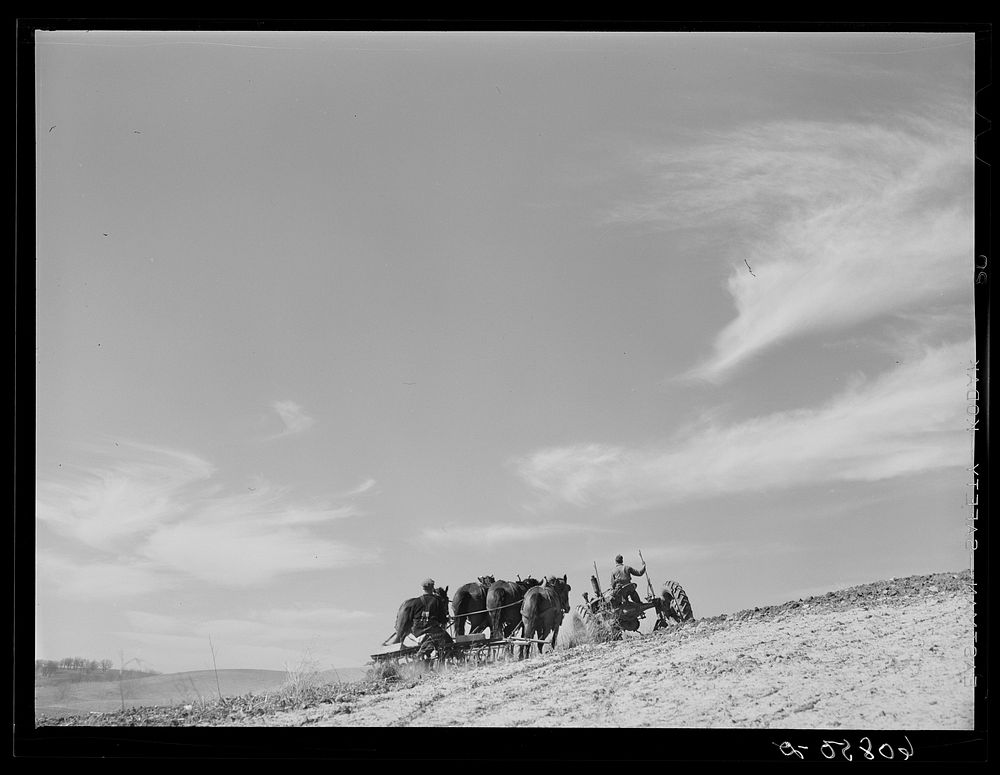 Discing with horses, listing with tractor. Monona County, Iowa. Sourced from the Library of Congress.