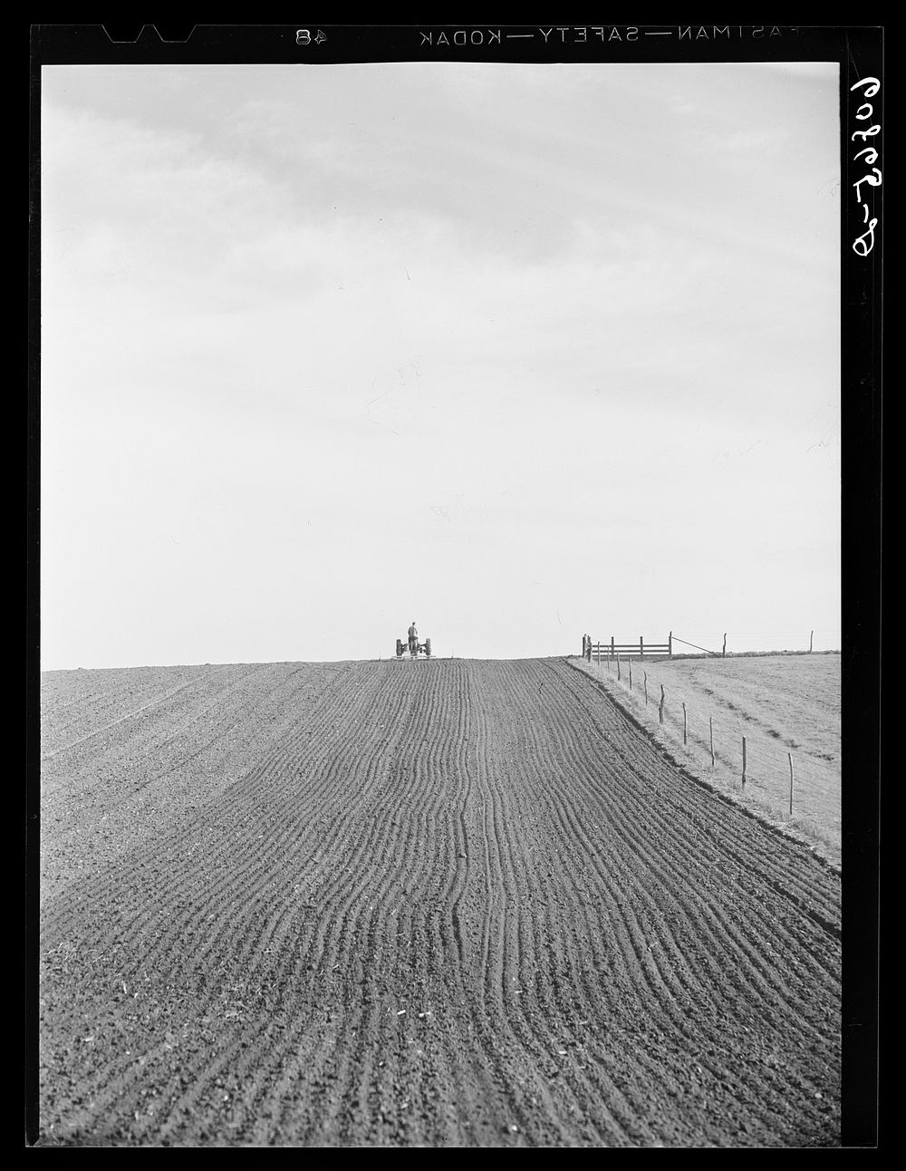 Harrowing the ground before corn planting. Jasper County, Iowa. Sourced from the Library of Congress.