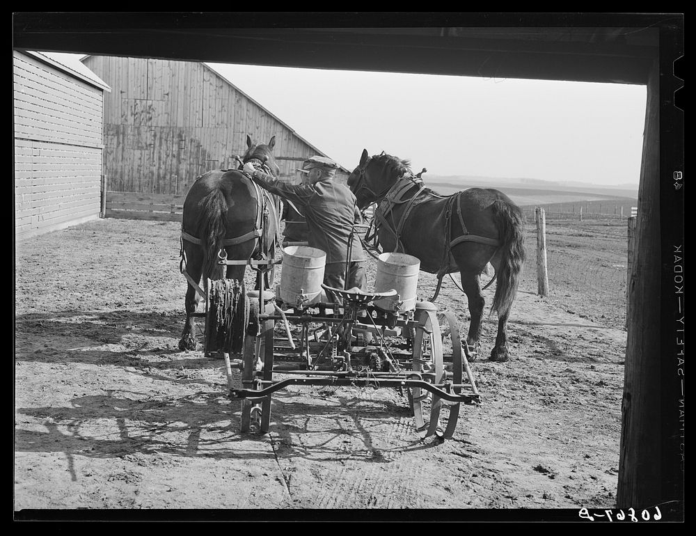 Hitching the team to the corn planter. Jasper County, Iowa. Sourced from the Library of Congress.