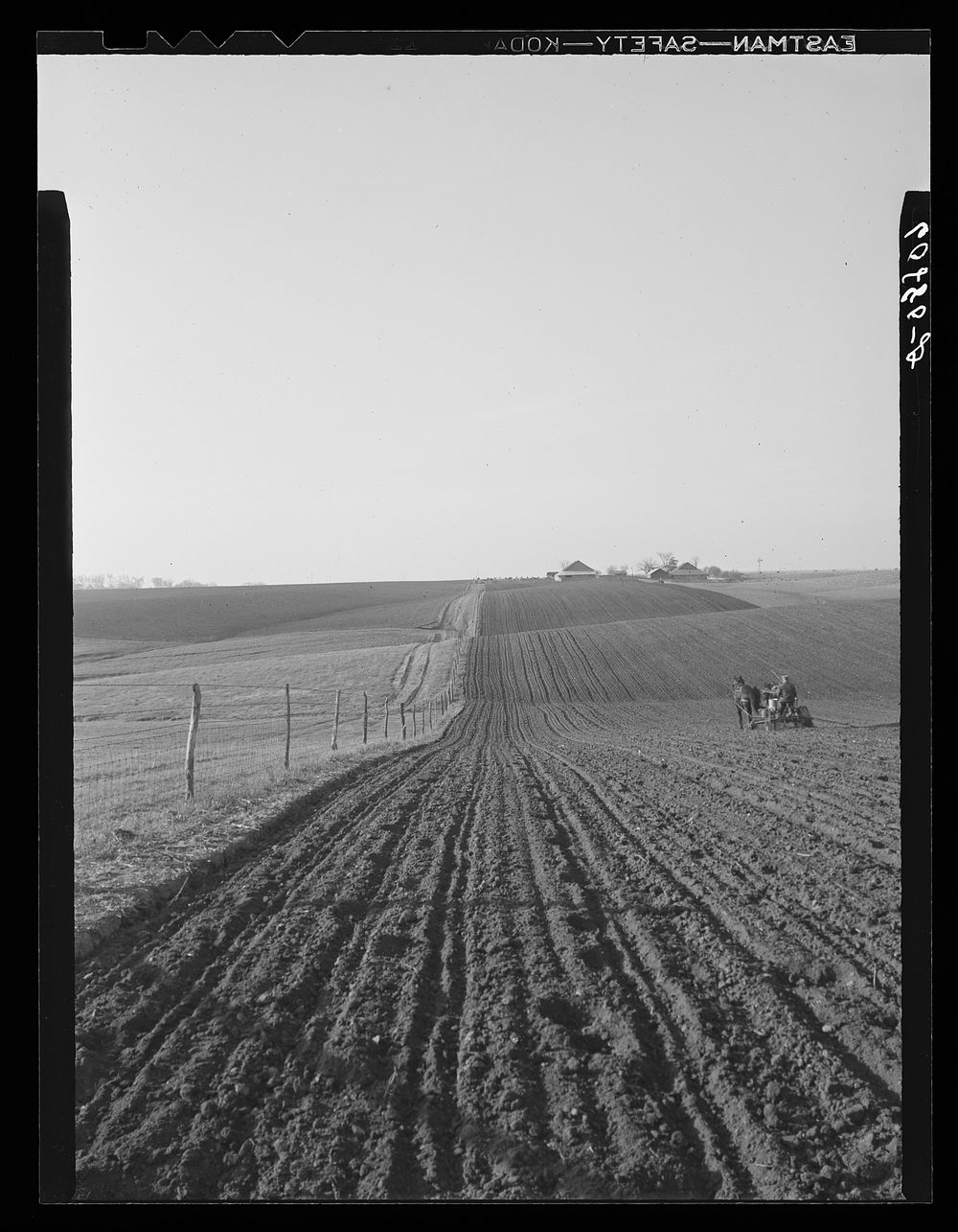 Planting corn with two-row horse planter. Jasper County, Iowa. Sourced from the Library of Congress.