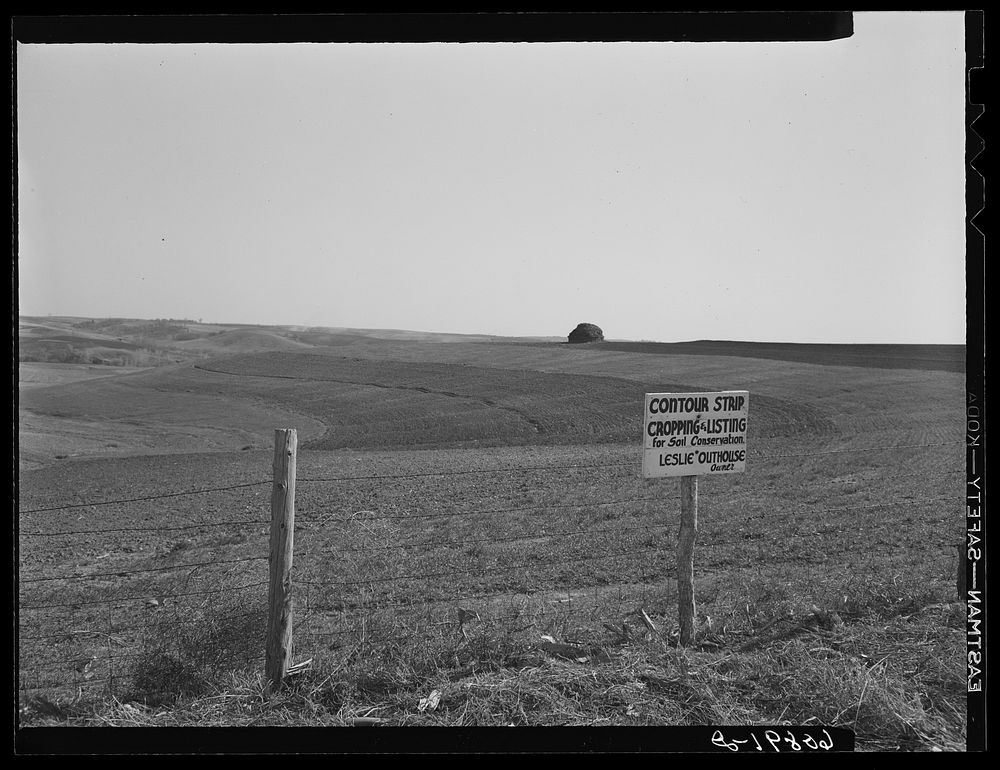 Contour planting and listing. Monona County, Iowa. Sourced from the Library of Congress.