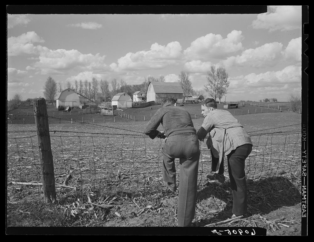 Iowa corn farm. Jasper County, Iowa. Sourced from the Library of Congress.