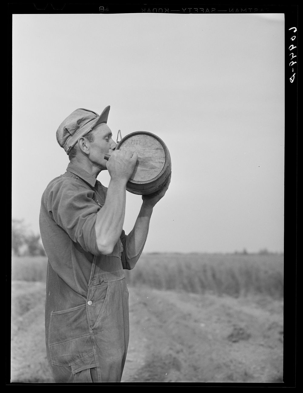 One of the cooperative farmers getting a drink of water while planting cantaloupes. Deshee Unit, Wabash Farms, Indiana.…
