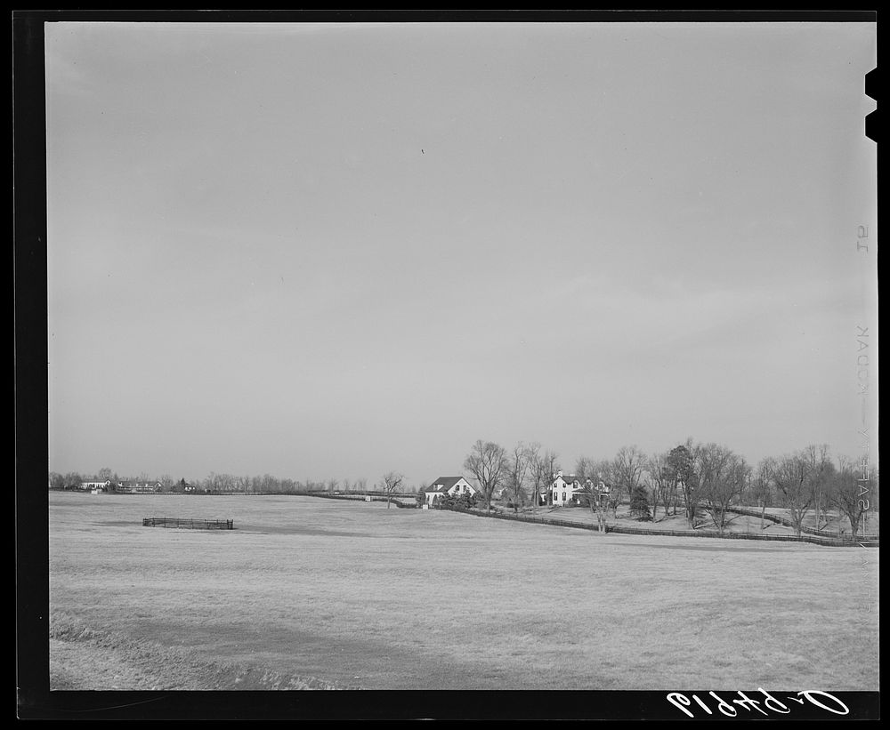 Horse farm in Kentucky Bluegrass country. Fayette County. Sourced from the Library of Congress.