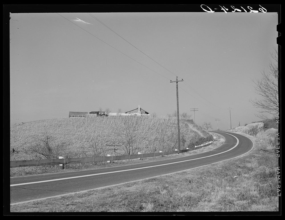 Farm along U.S. Highway no. 70. Roane County, Tennessee. Sourced from the Library of Congress.