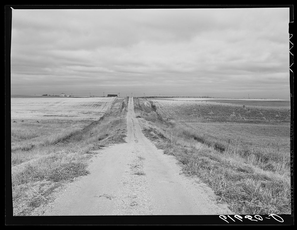Farm road.  Ward County, North Dakota. Sourced from the Library of Congress.