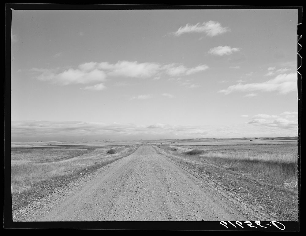 Rural road. Ward County, North Dakota. Sourced from the Library of Congress.