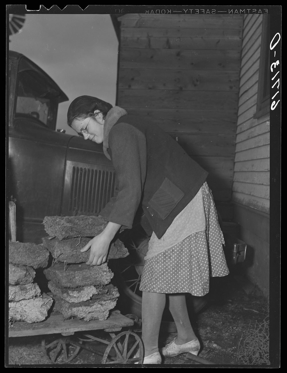 Gathering "barnyard lignite" for use as fuel in kitchen stove. McIntosh County, North Dakota. Sourced from the Library of…